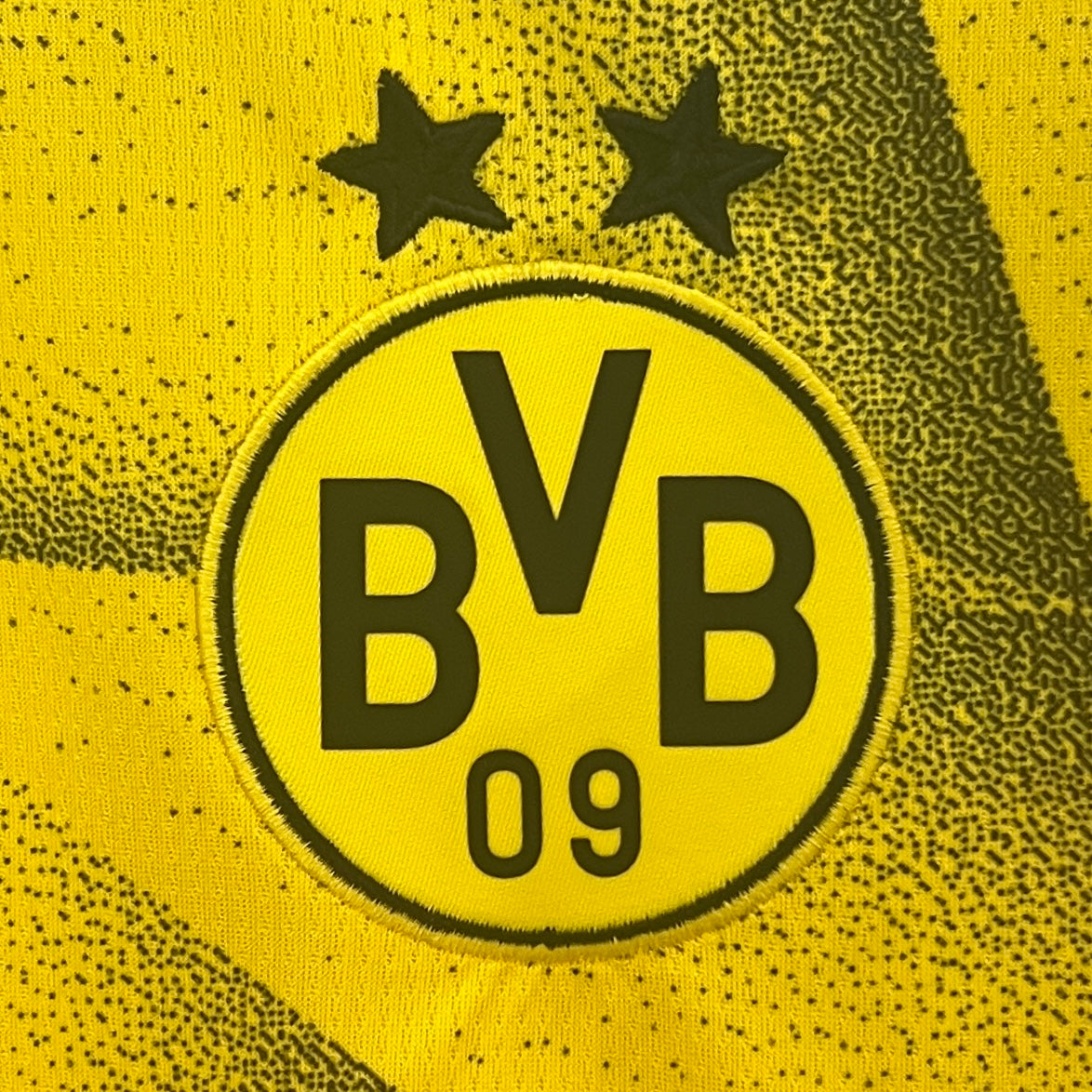 Borussia Dortmund Final UCL 2024